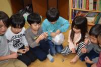 dsc_0642_small.jpg