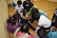 dsc_06491_small.jpg